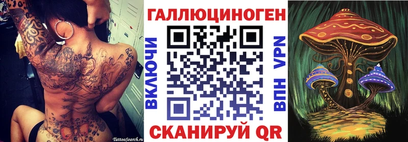 нарко площадка какой сайт Магадан Псилоцибиновые грибы Cubensis наркота