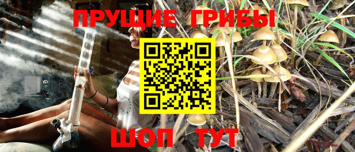 Галлюциногенные грибы мухоморы Магадан