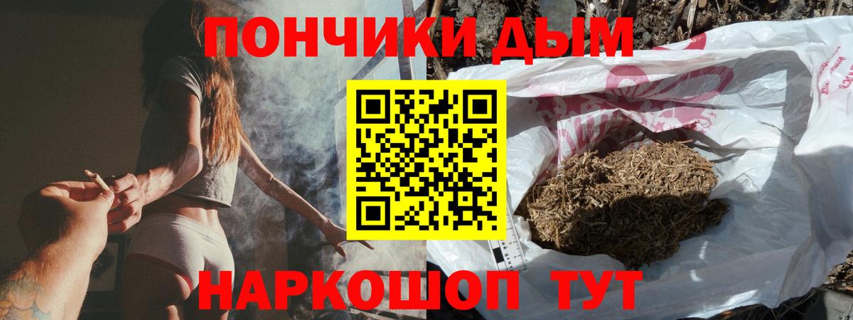 Псилоцибиновые грибы Магадан
